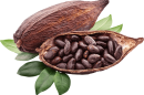 asticceria-beltramo-verzuolo-cacao